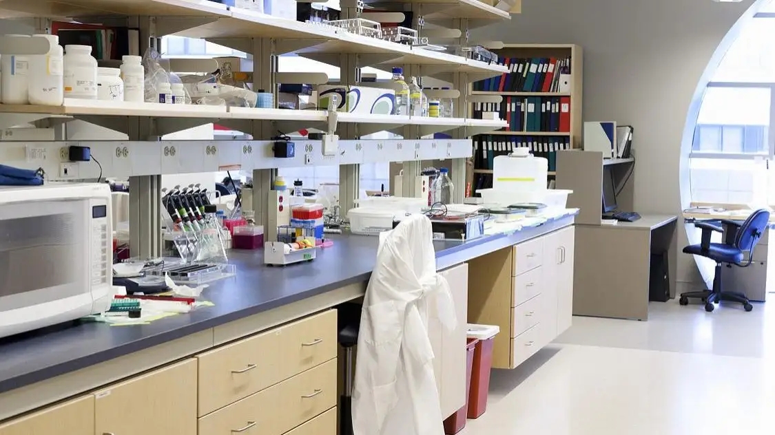 src=http___5b0988e595225.cdn.sohucs.com_images_20200408_0c971fcf1bed4e28b1d93cb0f64cfab7.jpeg&refer=http___5b0988e595225.cdn.sohucs.webp.jpg src=http___5b0988e595225.cdn.sohucs.com_images_20200408_0c971fcf1bed4e28b1d93cb0f64cfab7.jpeg&refer=http___5b0988e595225.cdn.sohucs.webp.jpg